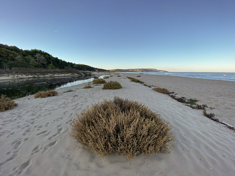 Ultra wide-angle - How to use iPhone 11 Pro's ultra wide-angle camera to take awesome pictures